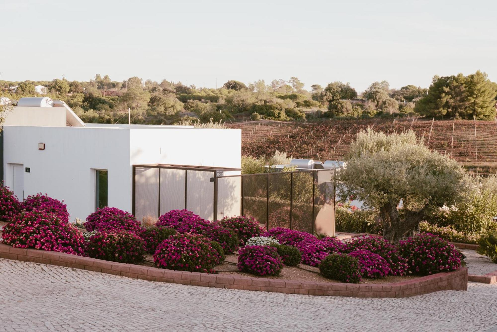 Quinta Dos Vales Wine Estate Guest House เอสโตเบอร์ ภายนอก รูปภาพ