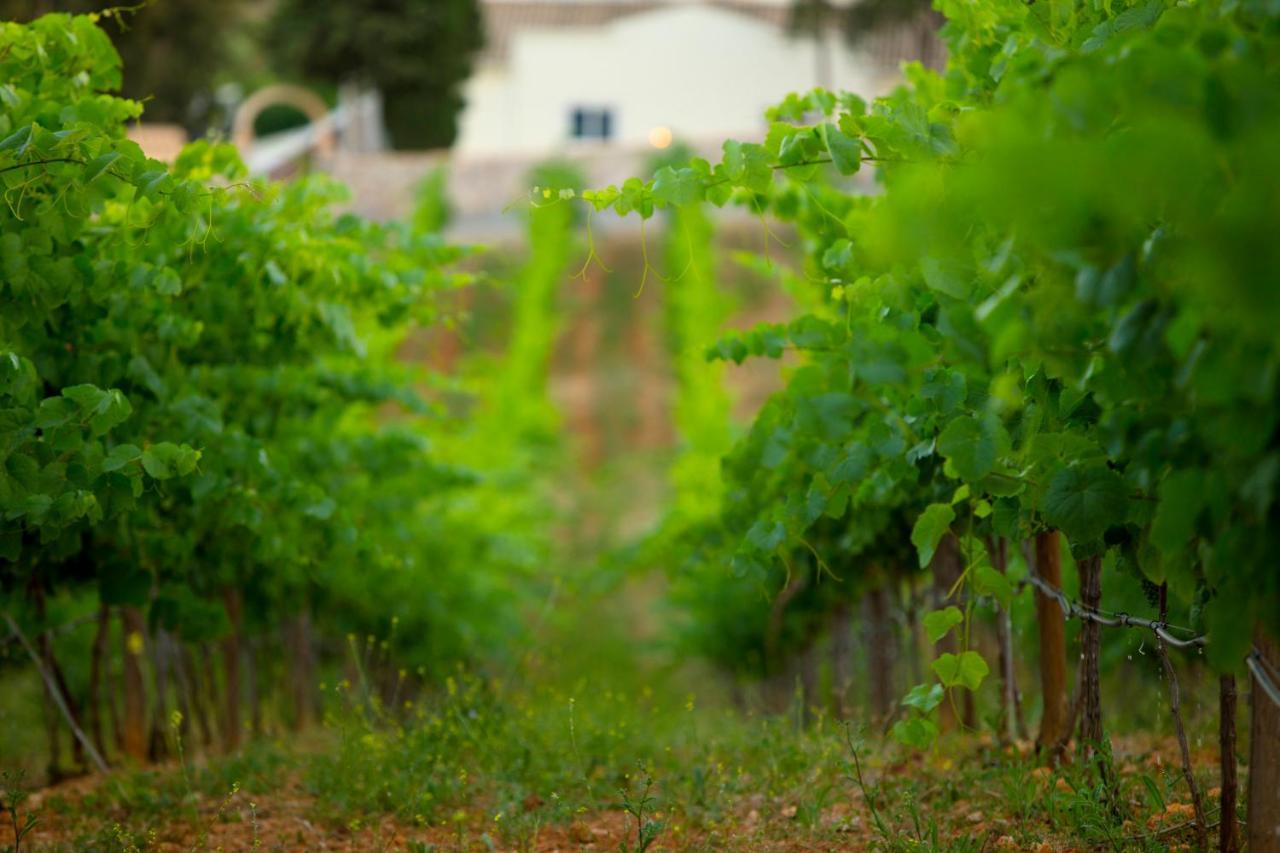 Quinta Dos Vales Wine Estate Guest House เอสโตเบอร์ ภายนอก รูปภาพ